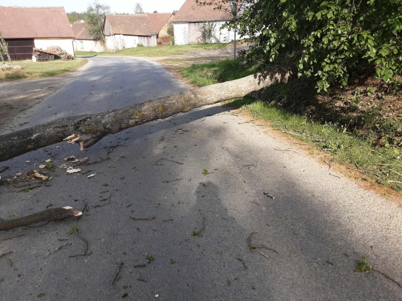 Image 10